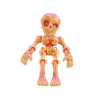 3D printed toy jointed human body skeleton decorative small figurine for Halloween skeleton doll manufacturer wholesale
